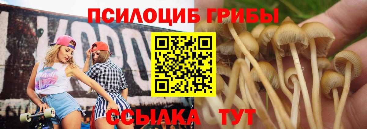 Псилоцибиновые грибы мицелий  Вход с VPN  Мытищи 